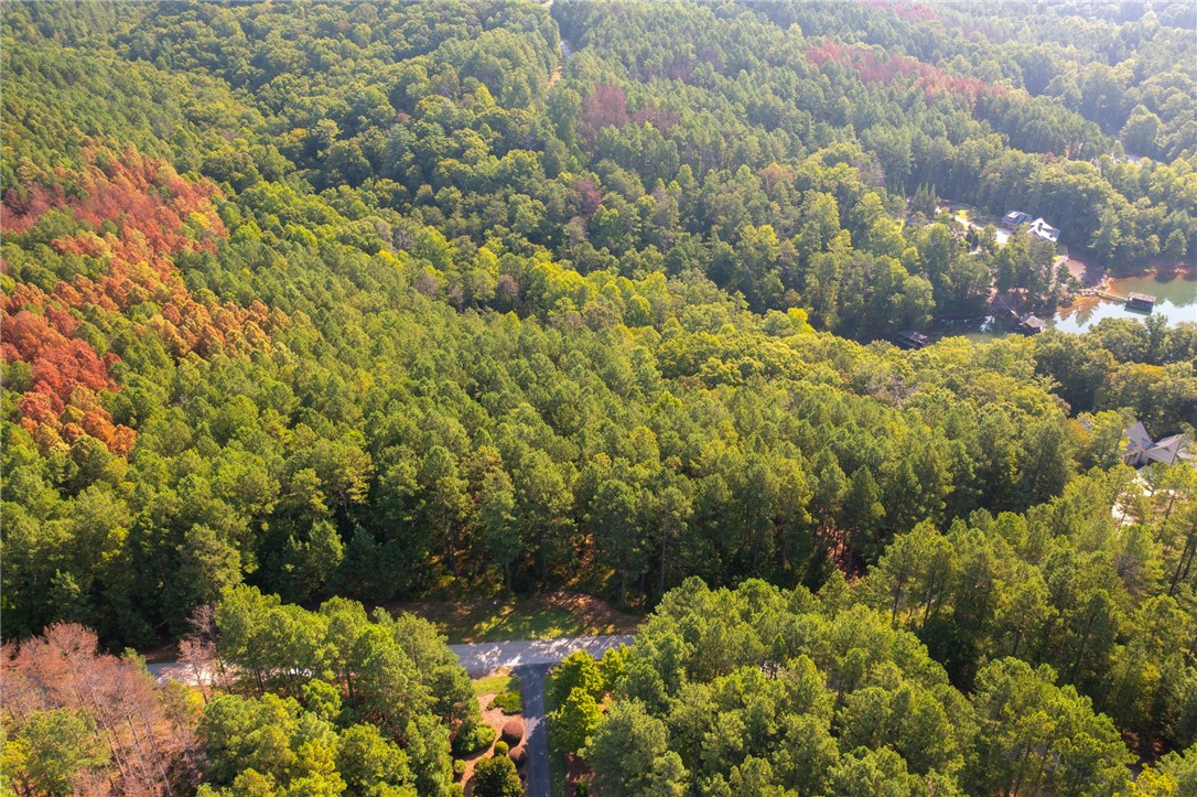 205 Long Ridge Road Sunset, SC 29685 - Photo 5 of 14