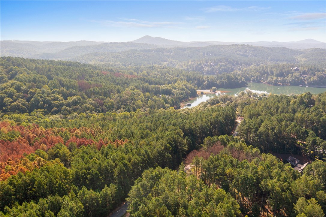 205 Long Ridge Road Sunset, SC 29685 - Photo 6 of 14