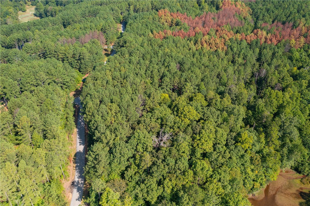 205 Long Ridge Road Sunset, SC 29685 - Photo 7 of 14