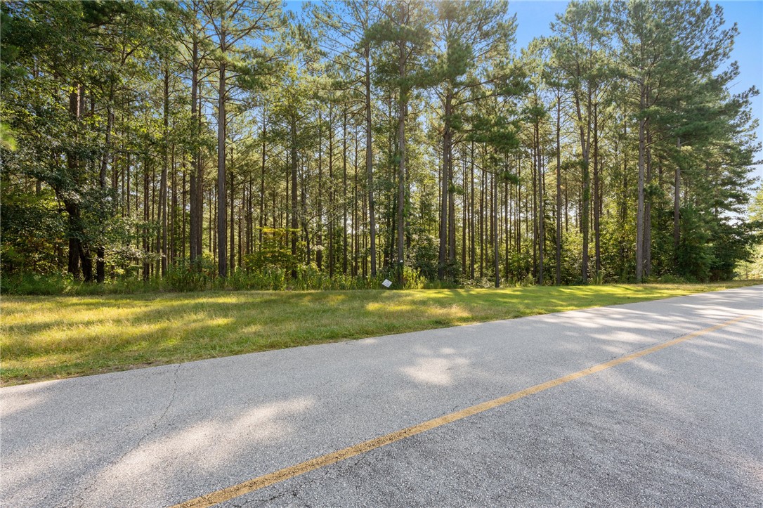205 Long Ridge Road Sunset, SC 29685 - Photo 10 of 14