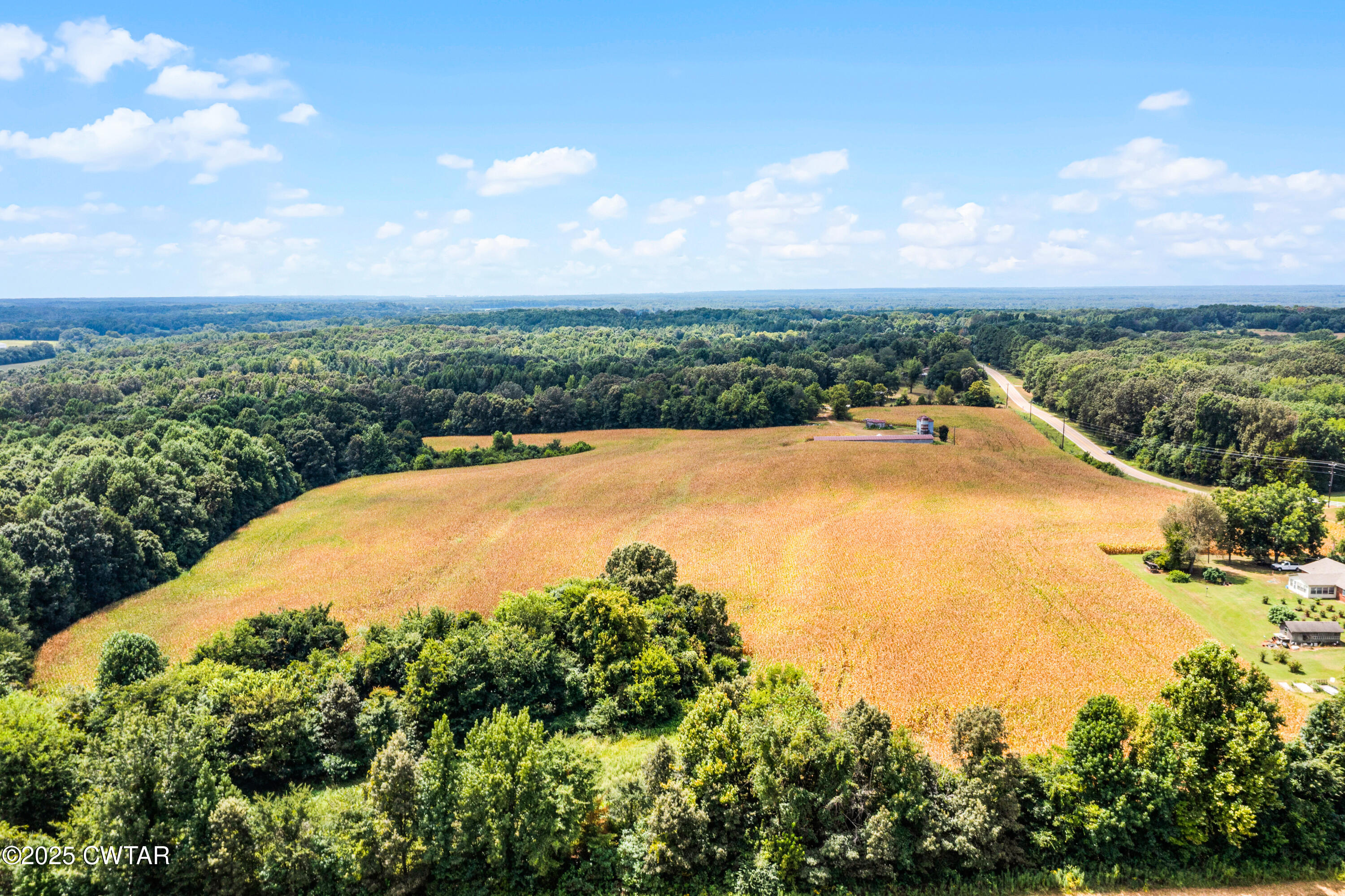 0 Highway 138 Mercer, TN 38392 - Photo 11 of 17 DJI_0951
