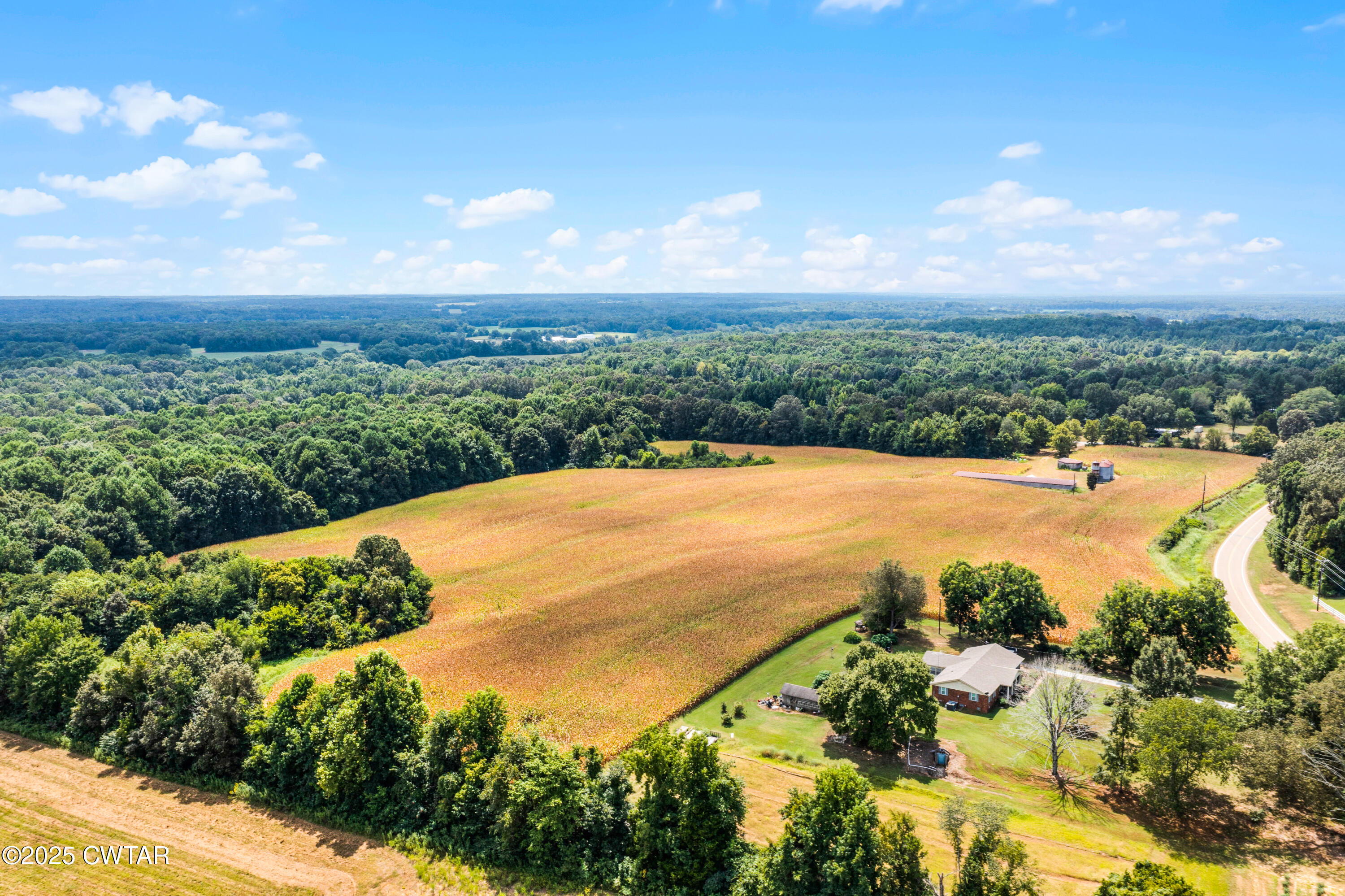 0 Highway 138 Mercer, TN 38392 - Photo 12 of 17 DJI_0956