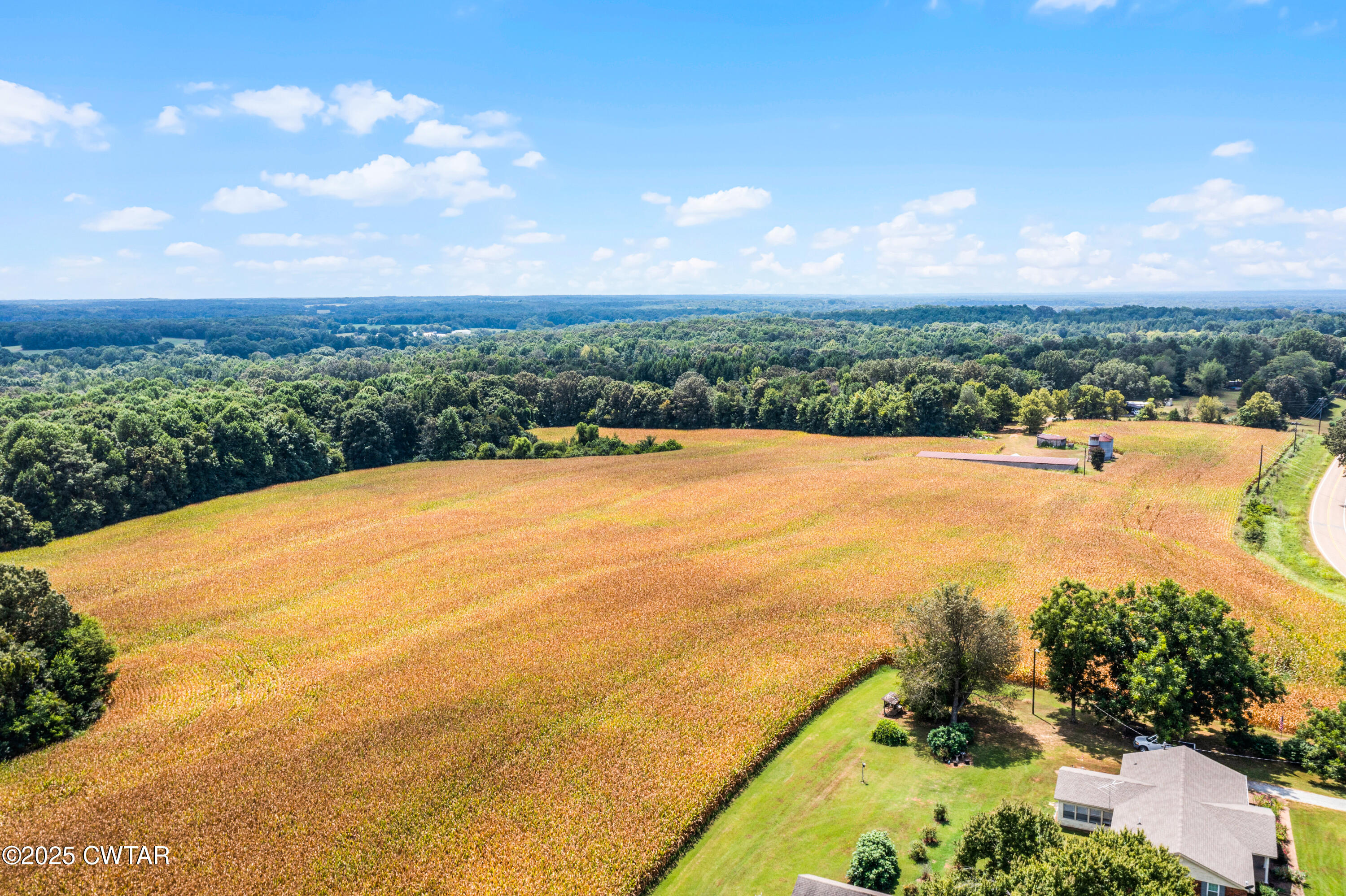 0 Highway 138 Mercer, TN 38392 - Photo 13 of 17 DJI_0961