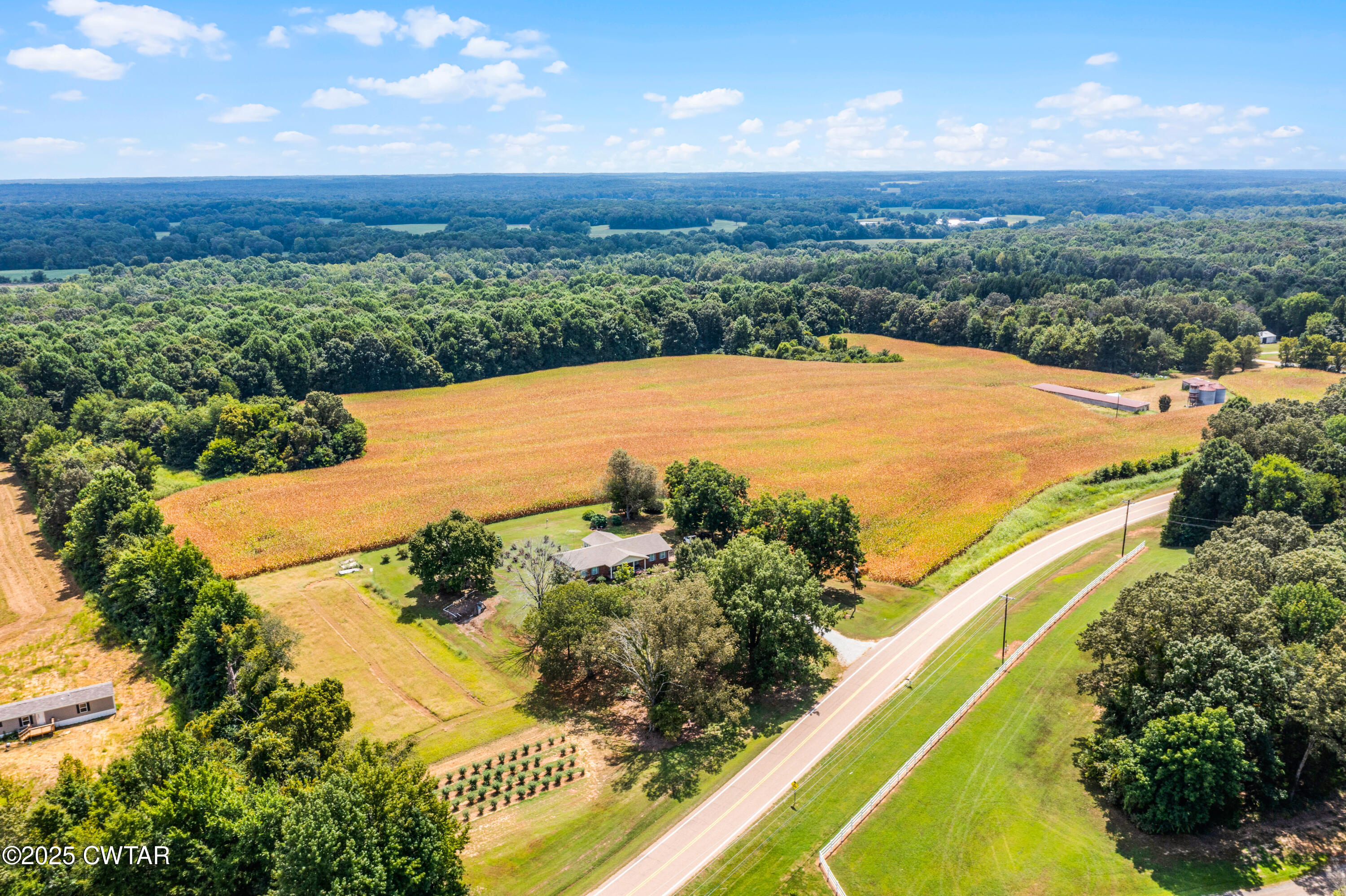 0 Highway 138 Mercer, TN 38392 - Photo 14 of 17 DJI_0966