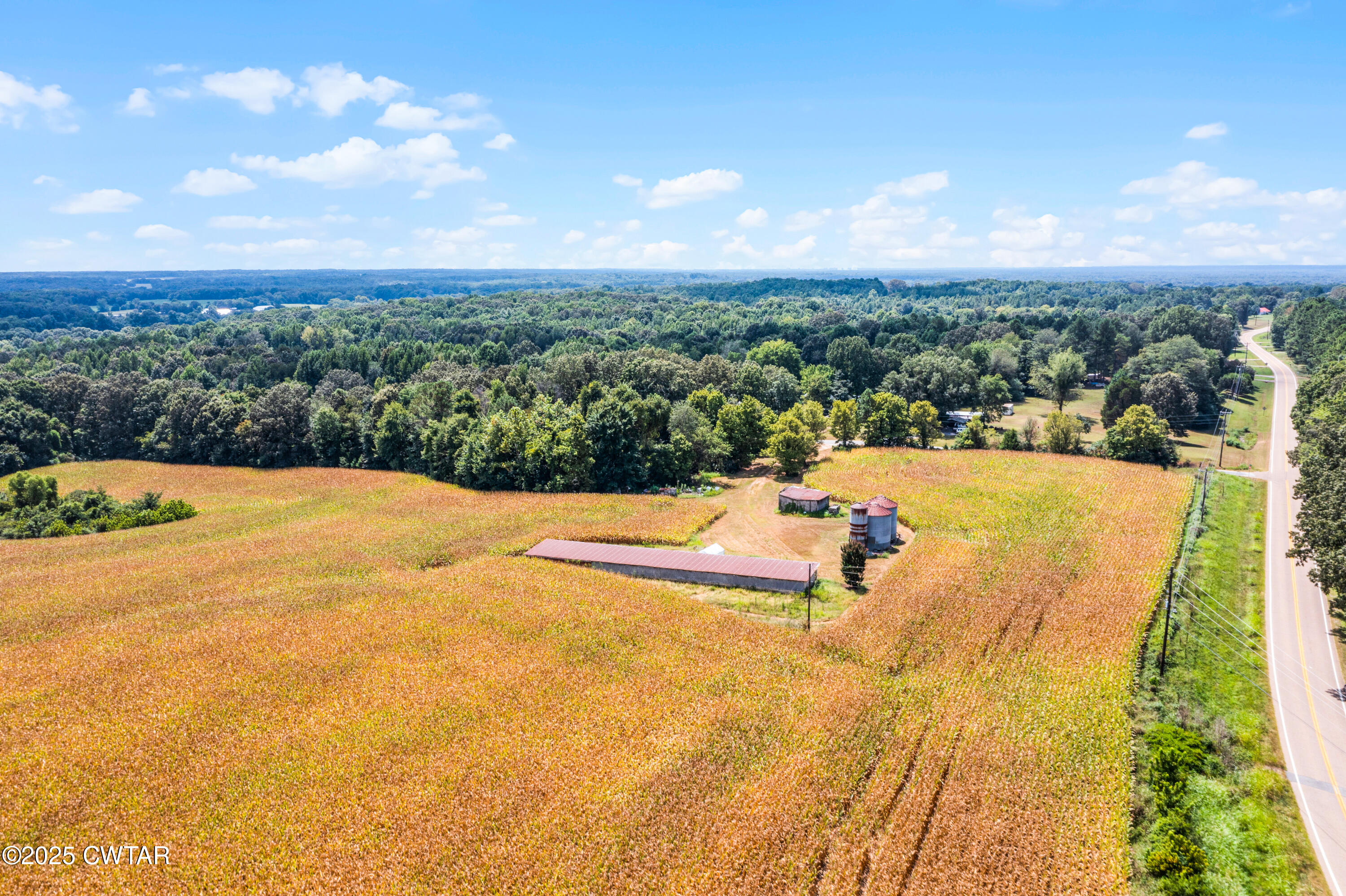 0 Highway 138 Mercer, TN 38392 - Photo 15 of 17 DJI_0971