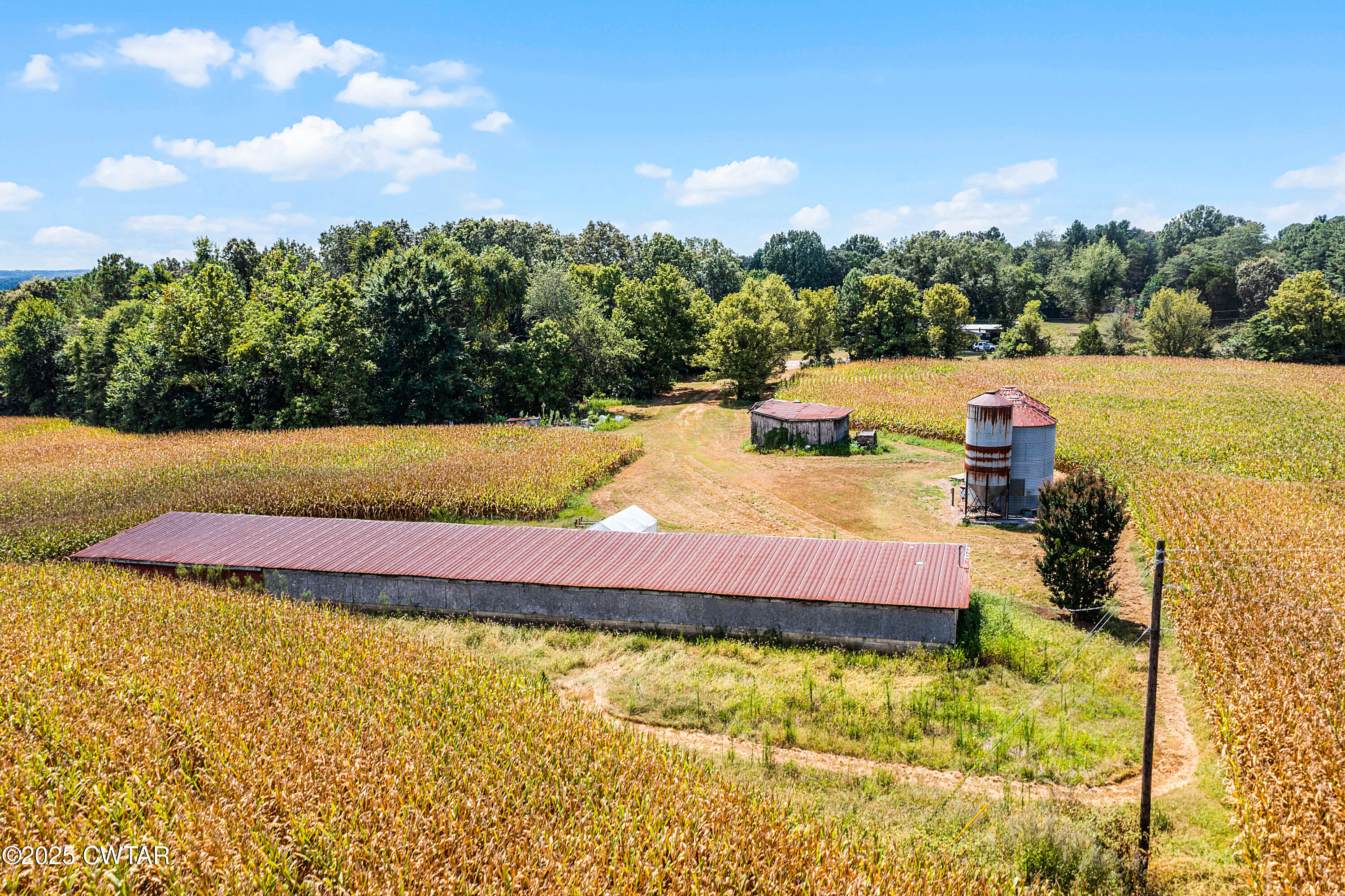 0 Highway 138 Mercer, TN 38392 - Photo 16 of 17 DJI_0976