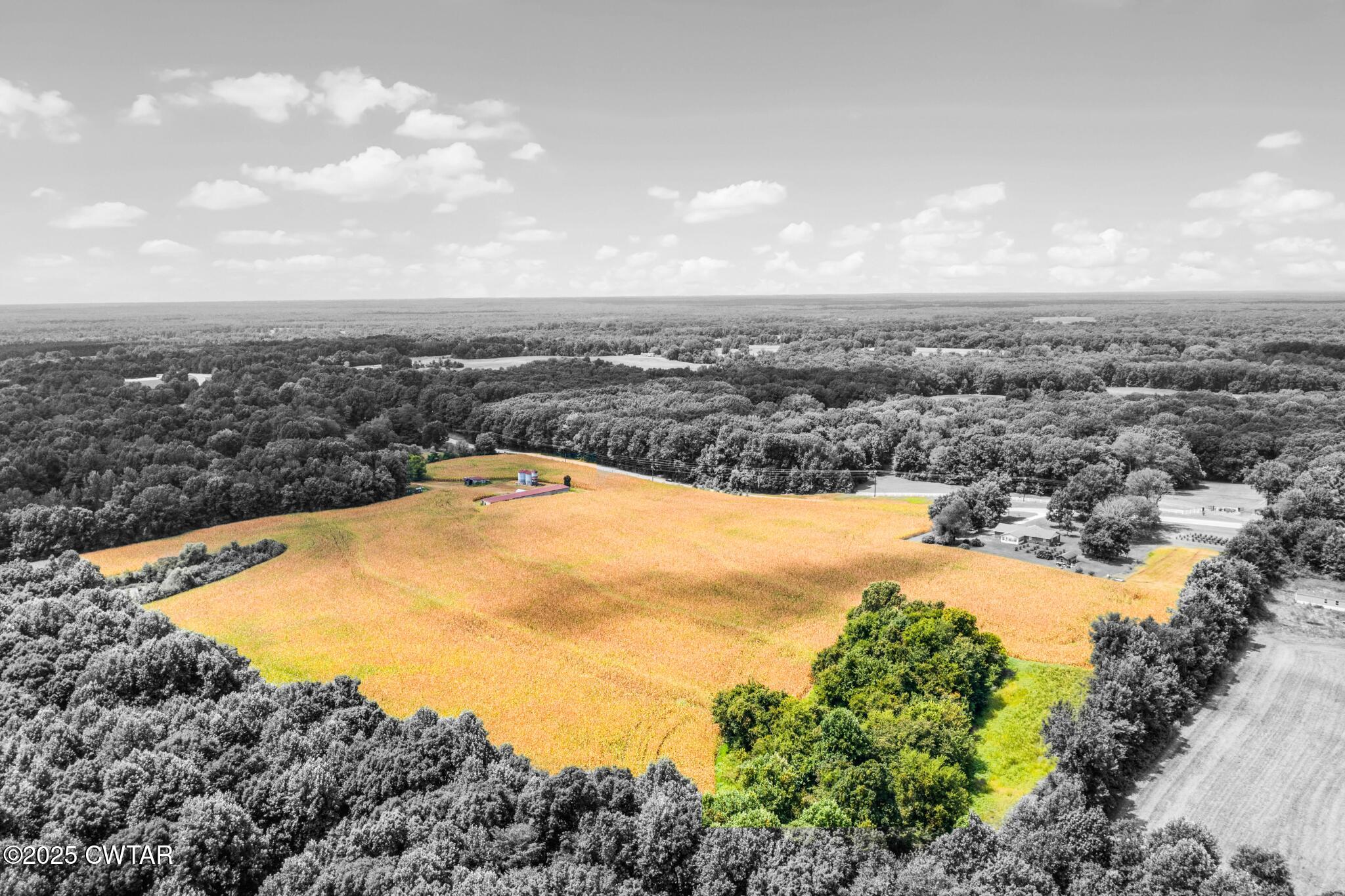 0 Highway 138 Mercer, TN 38392 - Photo 3 of 17 Images for MLS Listings (12)