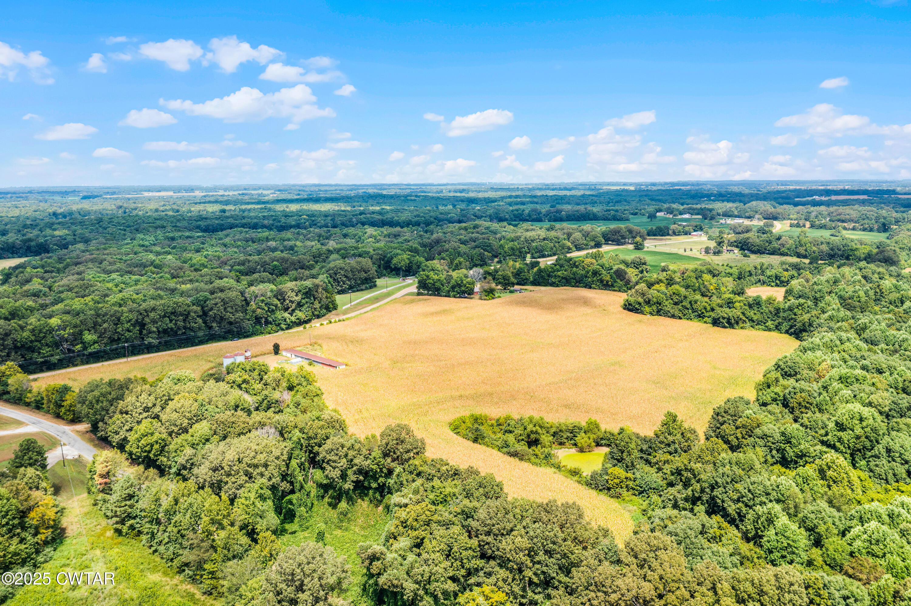 0 Highway 138 Mercer, TN 38392 - Photo 5 of 17 DJI_0922
