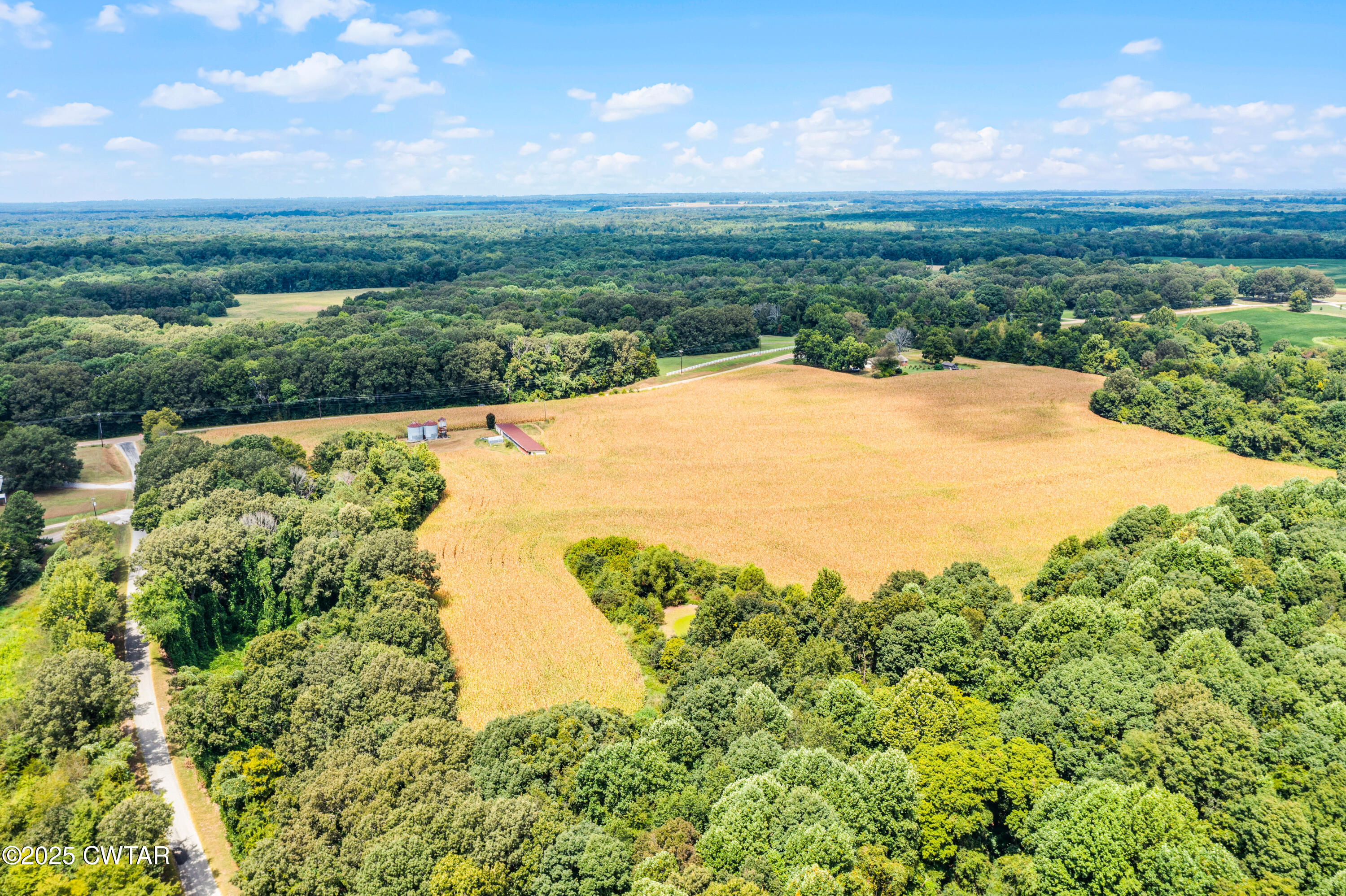 0 Highway 138 Mercer, TN 38392 - Photo 6 of 17 DJI_0927