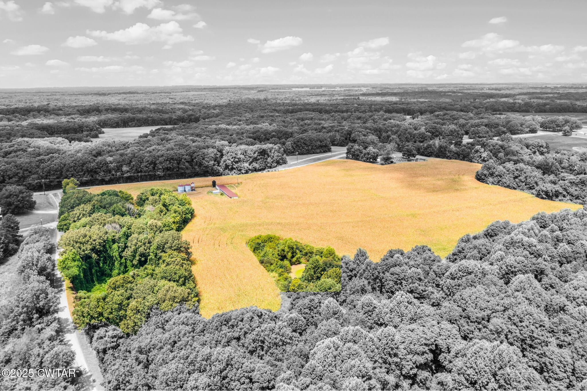 0 Highway 138 Mercer, TN 38392 - Photo 7 of 17 Images for MLS Listings (13)