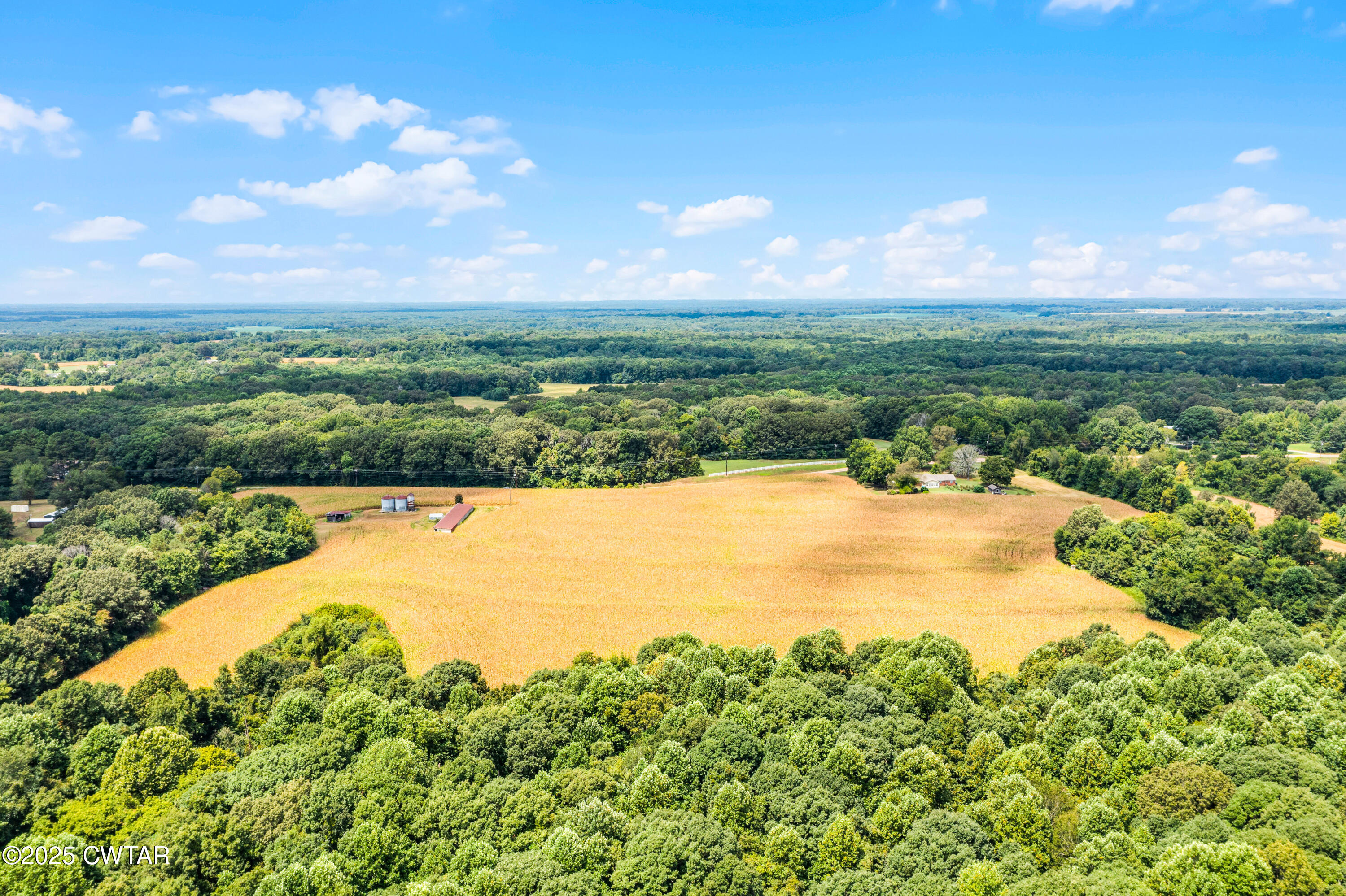 0 Highway 138 Mercer, TN 38392 - Photo 8 of 17 DJI_0931