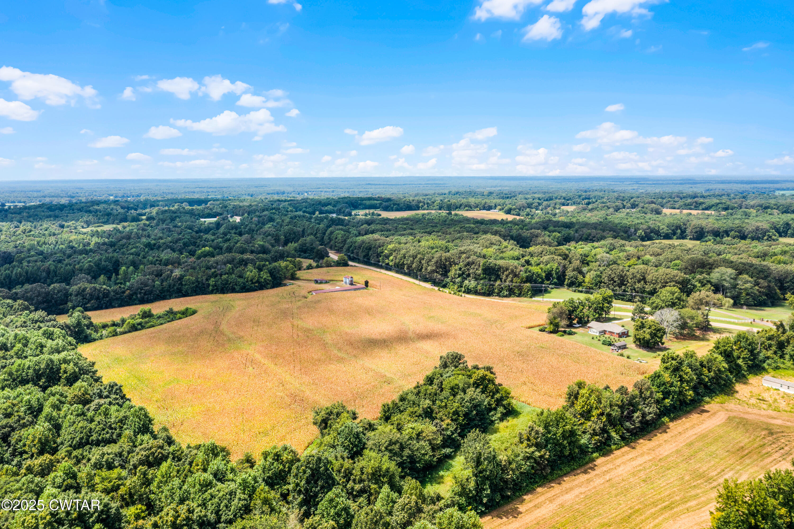 0 Highway 138 Mercer, TN 38392 - Photo 9 of 17 DJI_0941