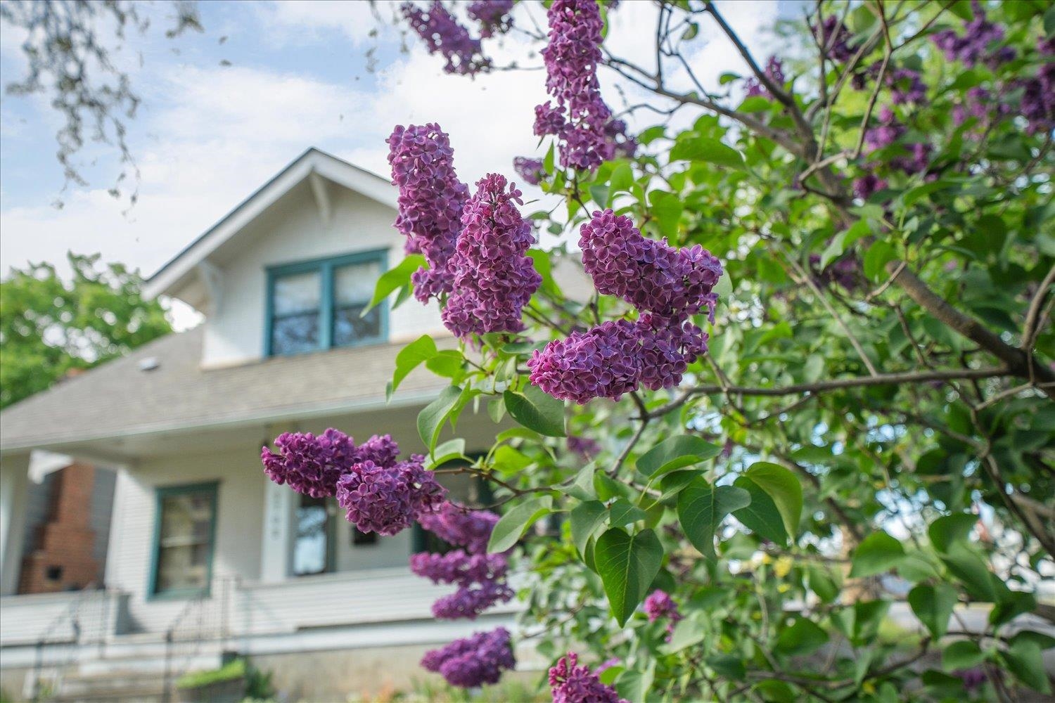 2702 West Gardner Avenue Spokane, WA 99201 - Photo 41 of 41