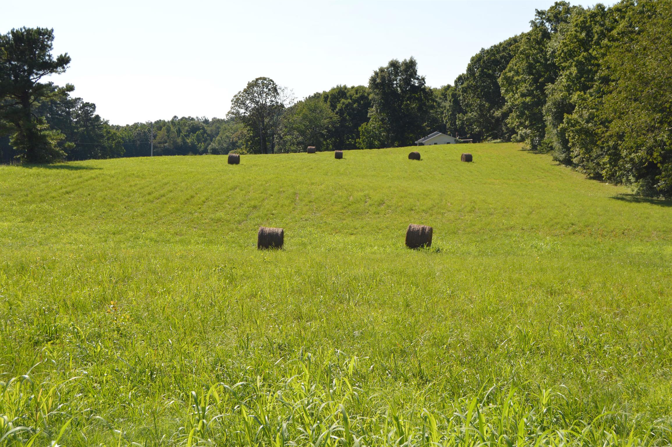 1434 Old Stewart Road Tennessee Ridge, TN 37178 - Photo 12 of 21 a view of a large yard with a large trees