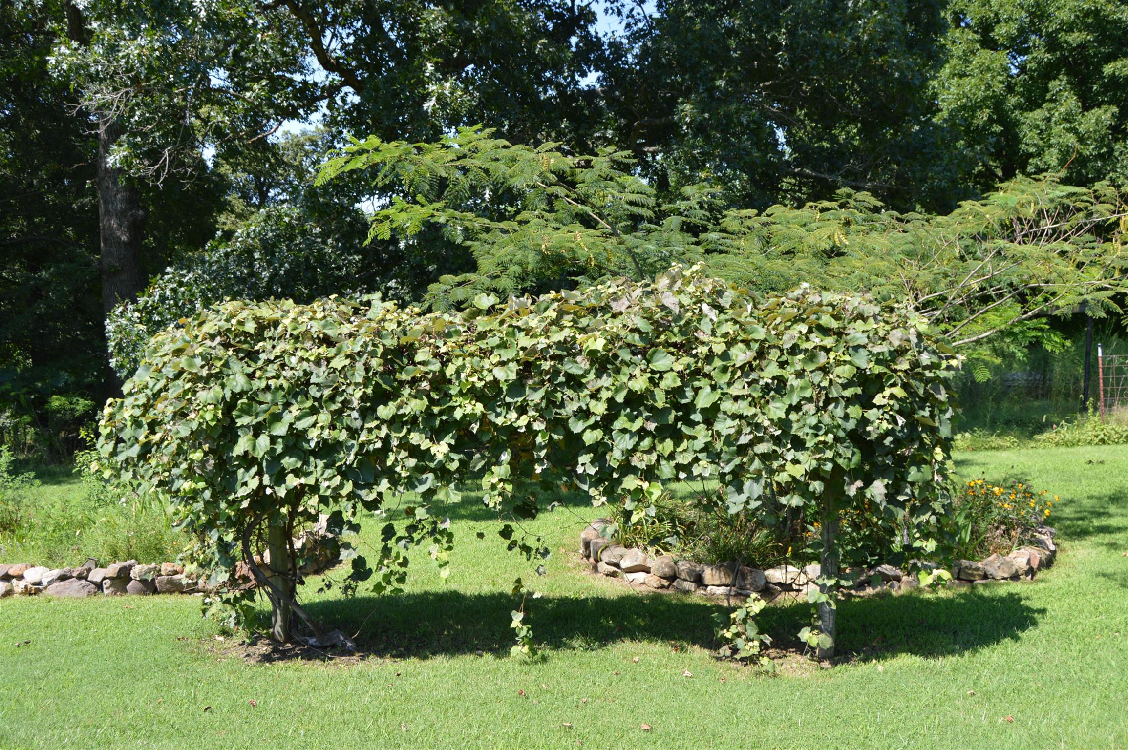 1434 Old Stewart Road Tennessee Ridge, TN 37178 - Photo 18 of 21 a garden covered with trees