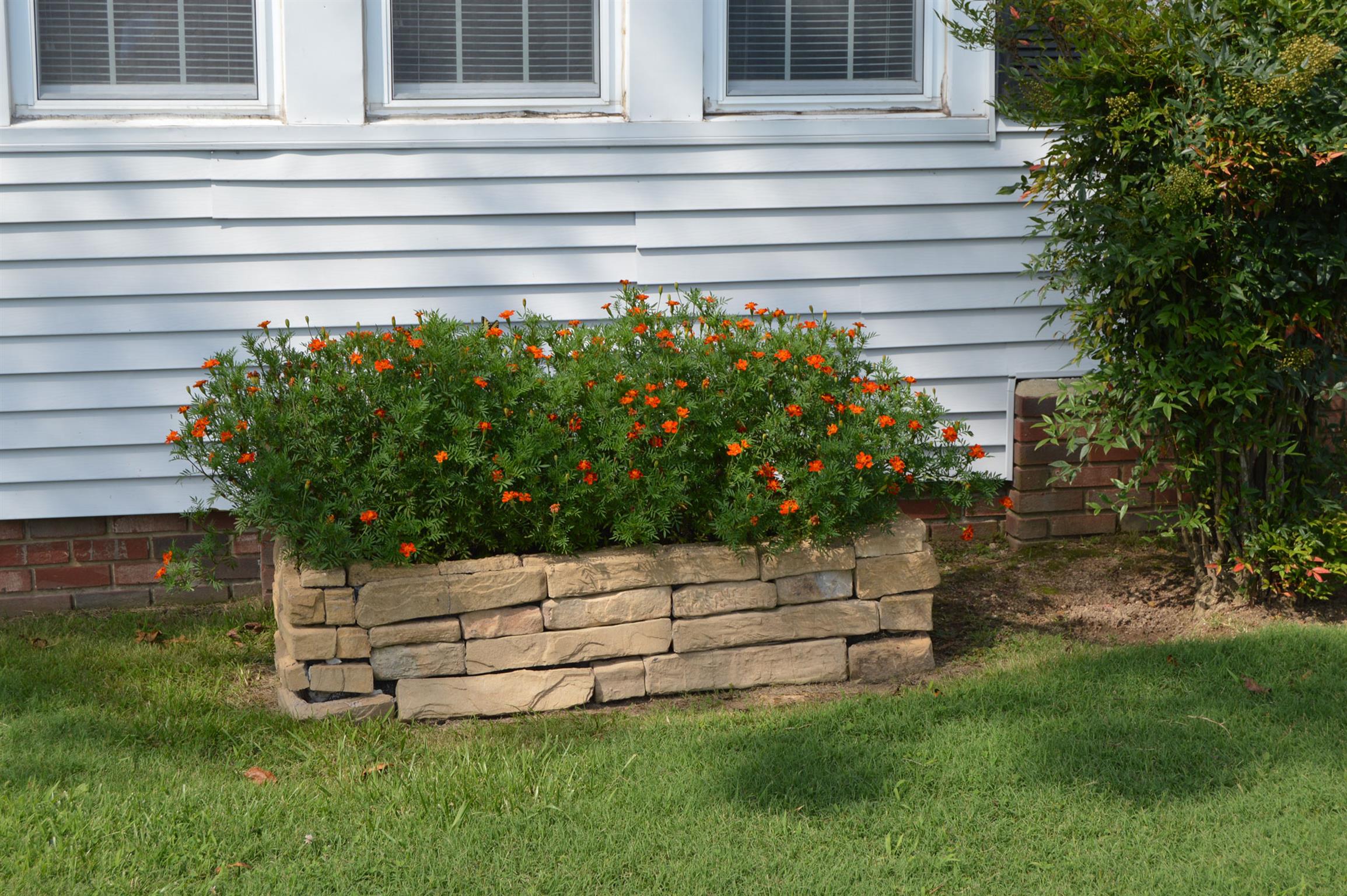 1434 Old Stewart Road Tennessee Ridge, TN 37178 - Photo 20 of 21 a view of a house with a garden
