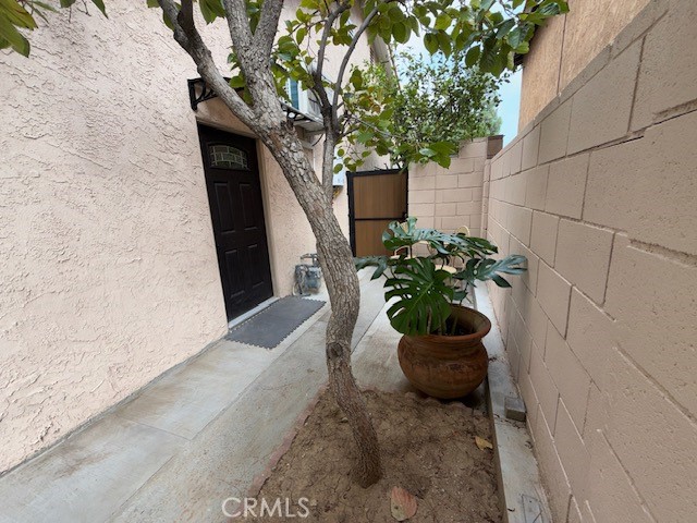 18415 Tuba Street Northridge, CA 91325 - Photo 19 of 21 a potted plant sitting in front of a door