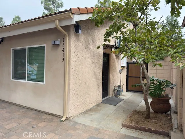 a potted plant sitting in front of a house
