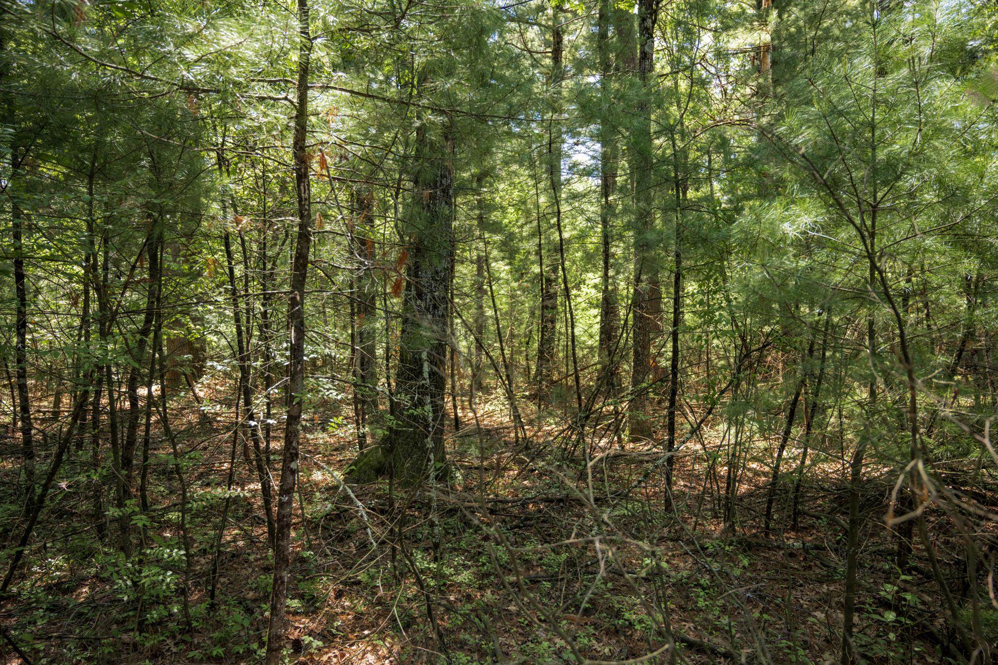 Lot 132 19th Arkdale, WI 54613 - Photo 6 of 27