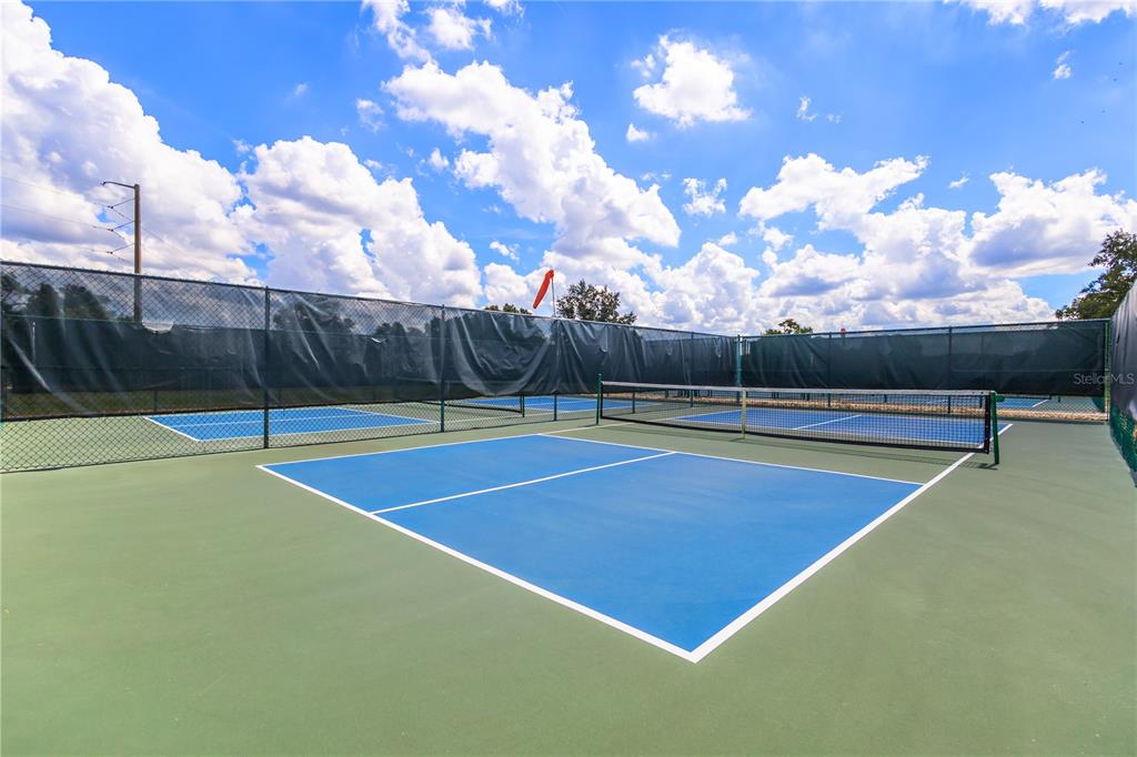 5313 Treasure View Way Leesburg, FL 34748 - Photo 46 of 52