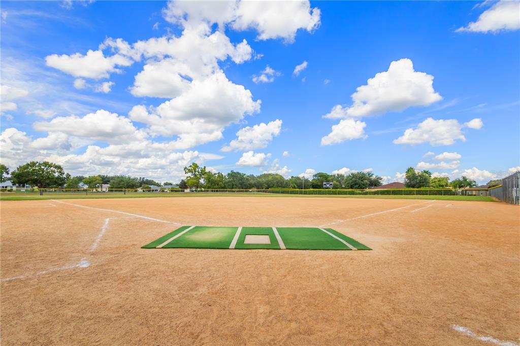 5313 Treasure View Way Leesburg, FL 34748 - Photo 51 of 52