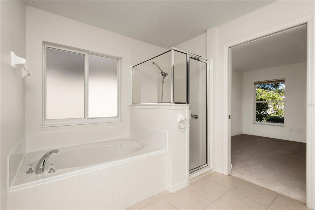 5313 Treasure View Way Leesburg, FL 34748 - Photo 8 of 52