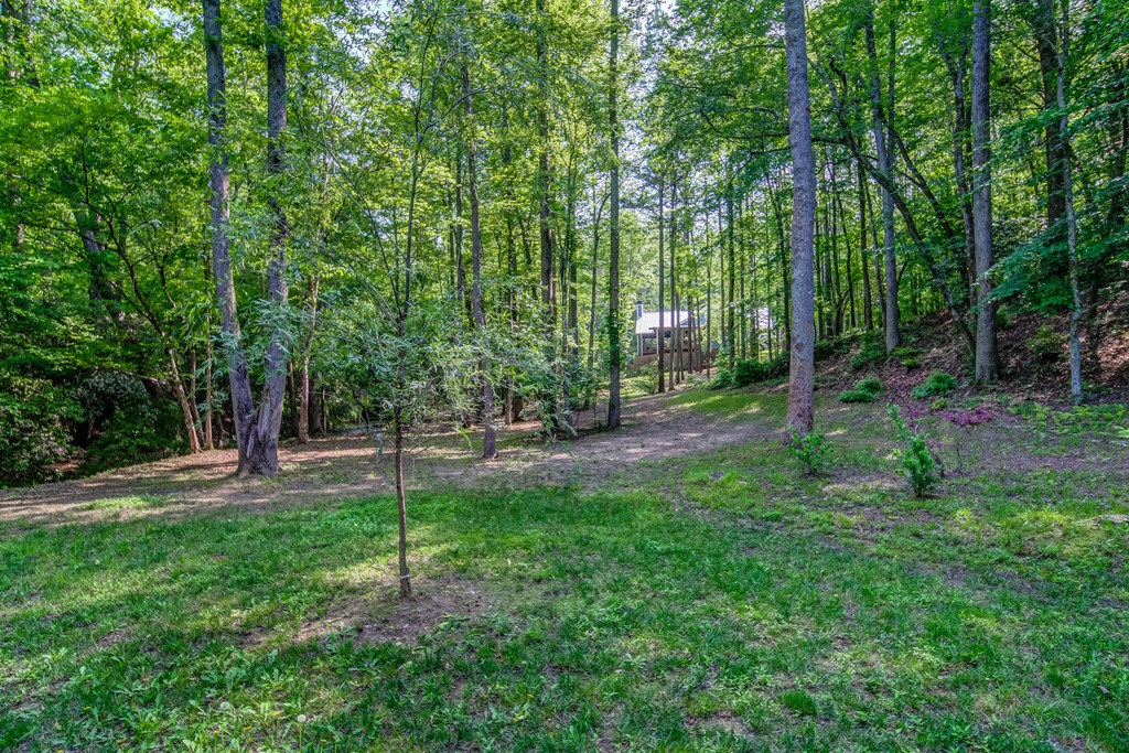 241 Green Ridge Road Jasper, GA 30143 - Photo 86 of 99 Gallery Image 86
