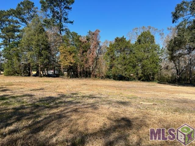 Tbd Lot 640 C Tbd Road Baton Rouge, LA 70809 - Photo 1 of 3