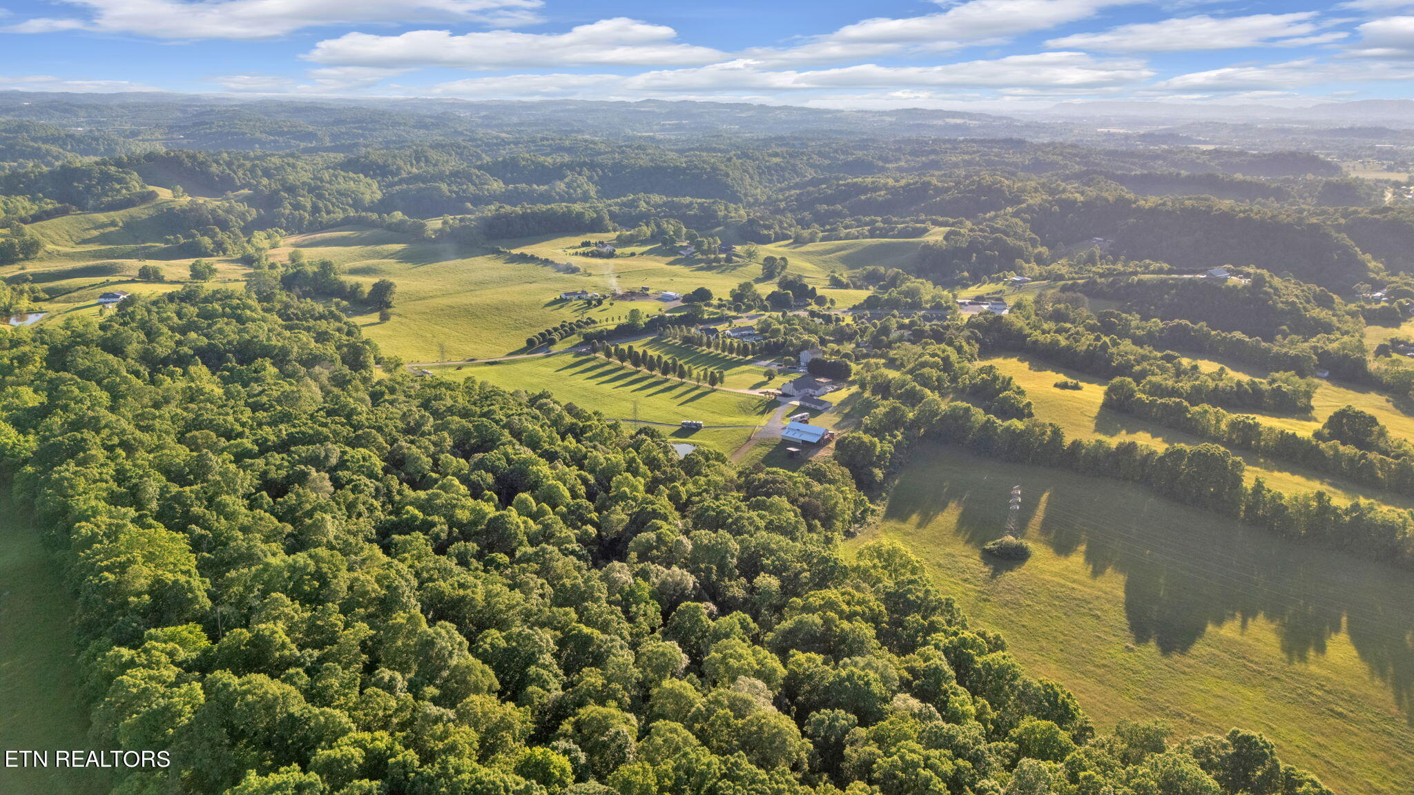 5190 Baileyton Road Greeneville, TN 37745 - Photo 55 of 58 ~14 acres of woods