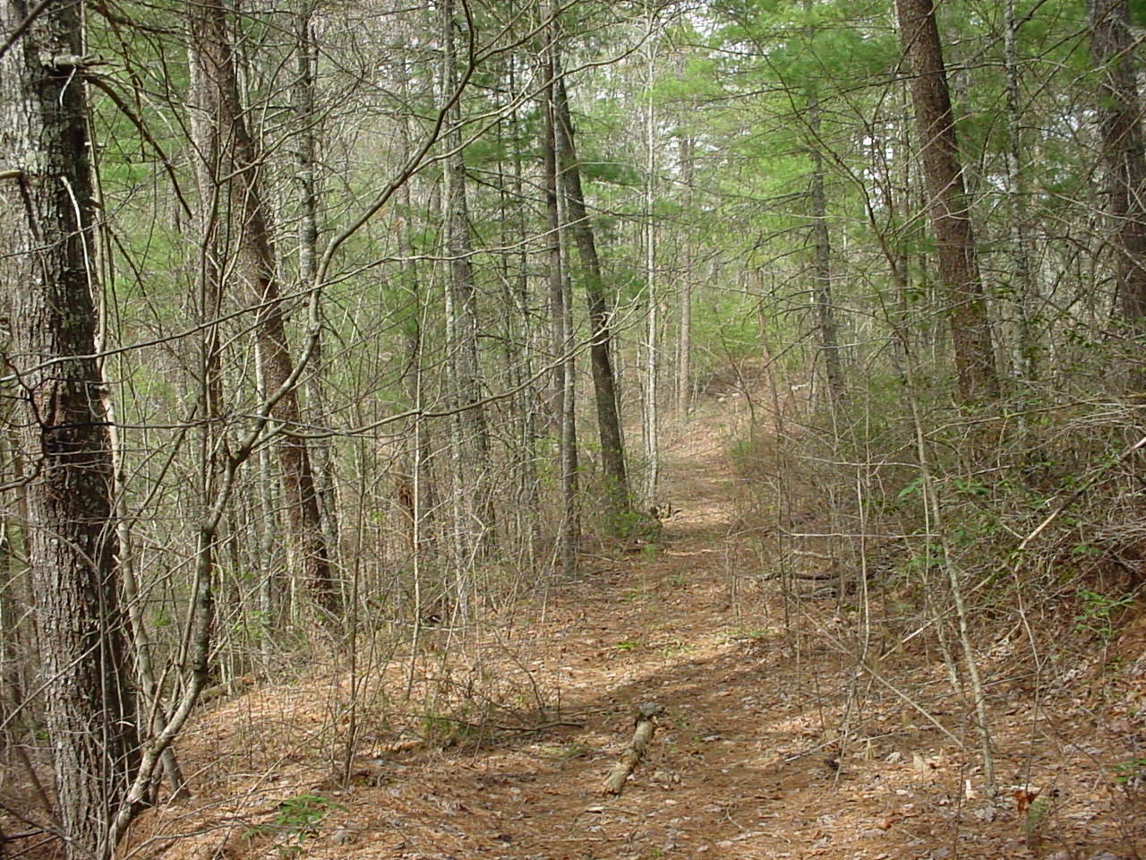 731 Carrs Creek Road Townsend, TN 37882 - Photo 17 of 20 DSC03548