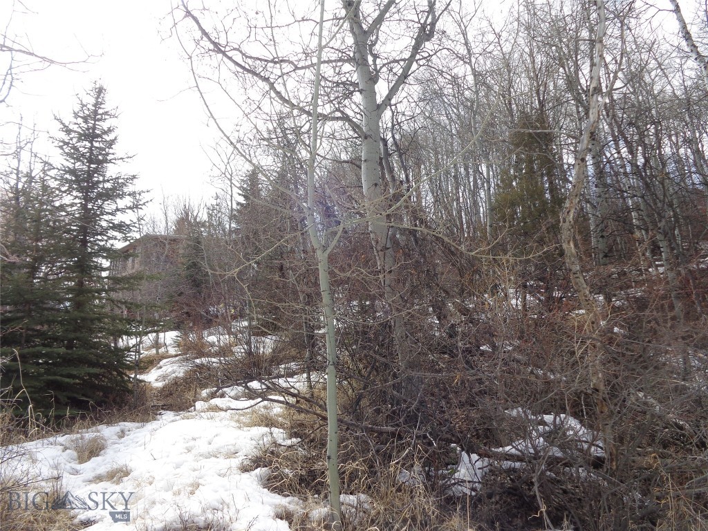 Tbd Copper Road Anaconda, MT 59711 - Photo 1 of 1 Gallery Image 1