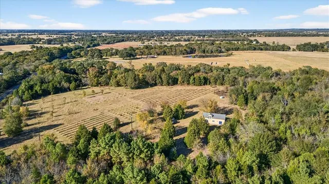 a view of an ocean beach