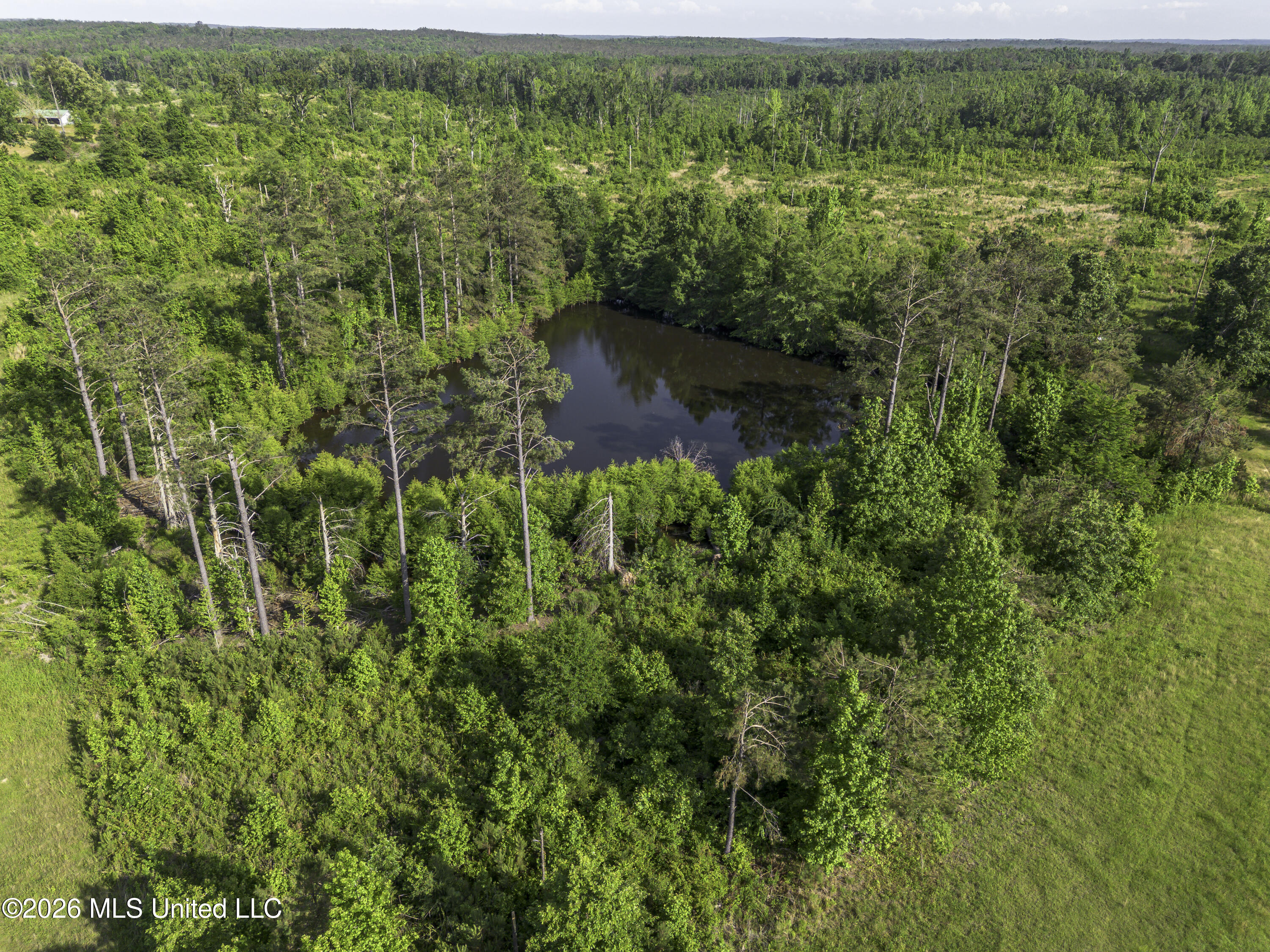 6030 Wash Bailey Road Durant, MS 39063 - Photo 46 of 66 Wash Bailey Rd Drone-0342