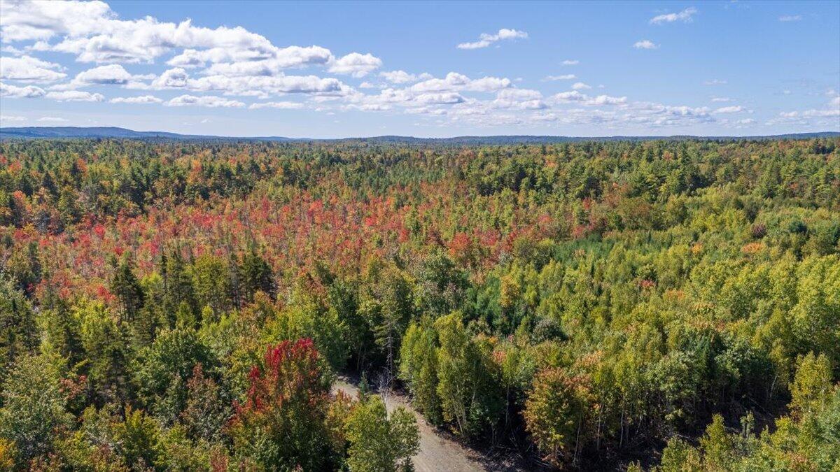 Lot #14 Pine Plains Road Liberty, ME 04949 - Photo 12 of 36 22-Pine Plains-22
