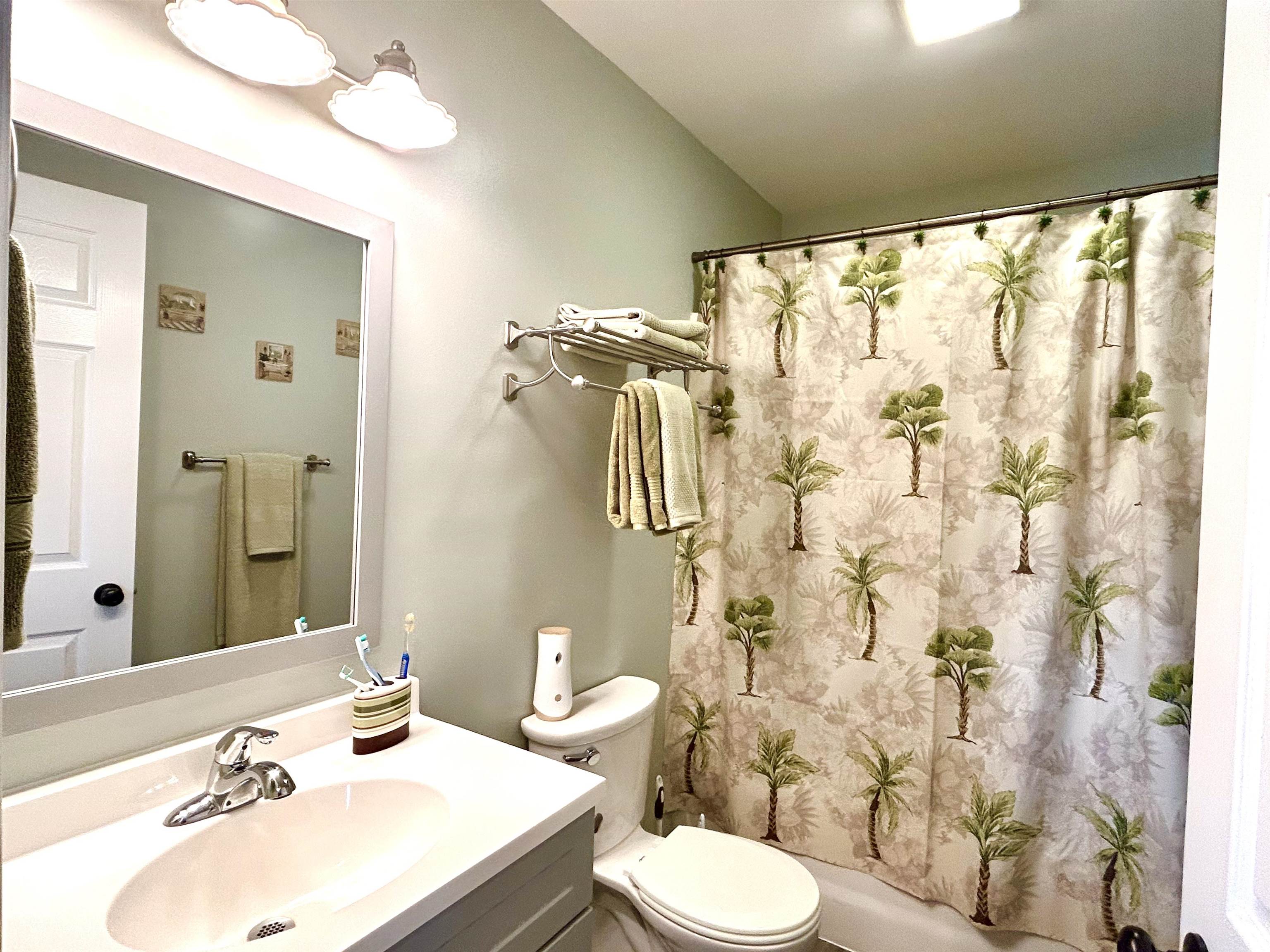 7 Rolla Mill Road Verona, VA 24482 - Photo 29 of 59 a bathroom with a sink mirror vanity and toilet