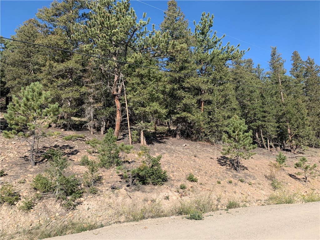 1853 Redhill Road Fairplay, CO 80440 - Photo 19 of 24 Gallery Image 19
