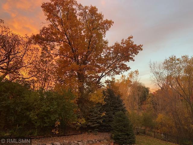 7336 Fountain Lane North Maple Grove, MN 55311 - Photo 94 of 99