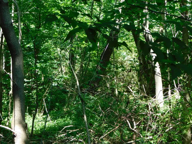 $49,900 | 0 East Napier Avenue, Benton Harbor, MI 49022