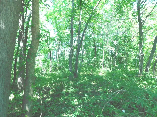 $49,900 | 0 East Napier Avenue, Benton Harbor, MI 49022