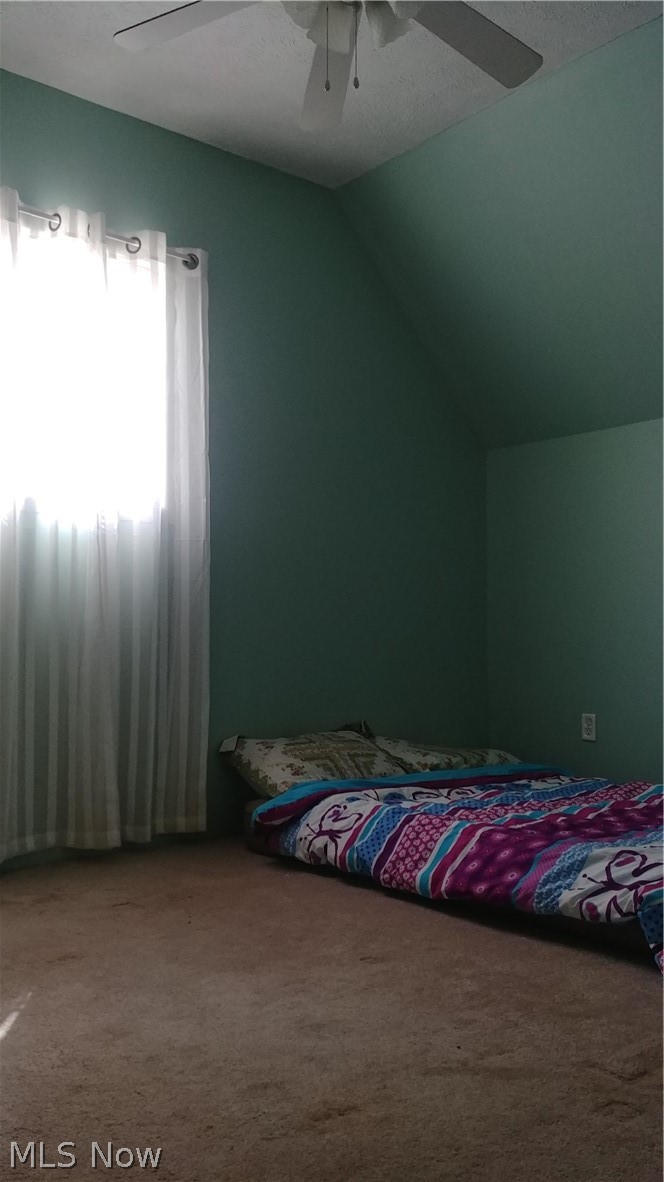 60872 Ray Ramsey Road Shadyside, OH 43947 - Photo 20 of 29 Gallery Image 20