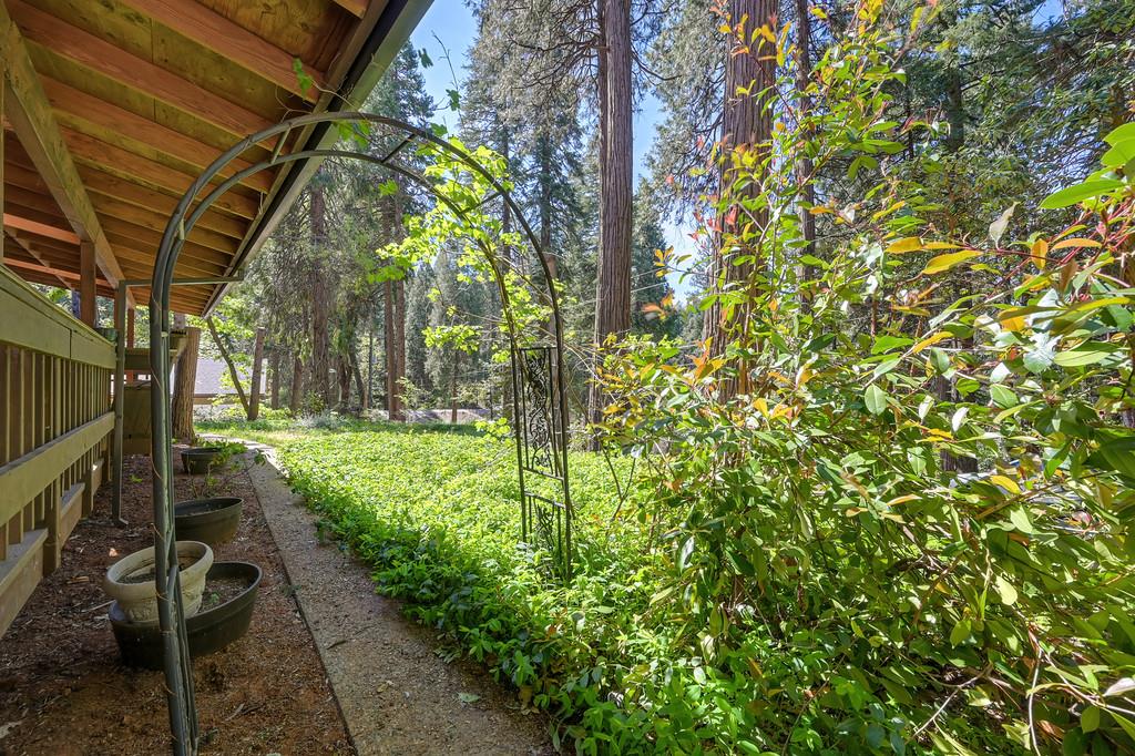 2895 Viona Road Pollock Pines, CA 95726 - Photo 6 of 57