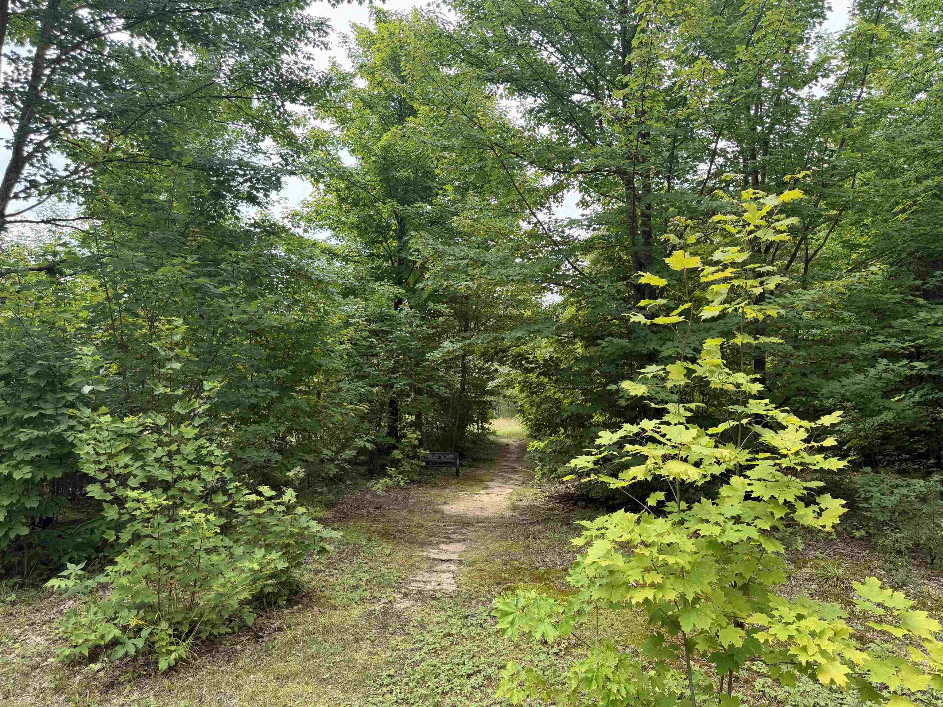 23567 Faylor Road Copemish, MI 49625 - Photo 16 of 34 1949000-921288f6-e8ae-4ab0-9df9-b1a0d5ad8803.JPG