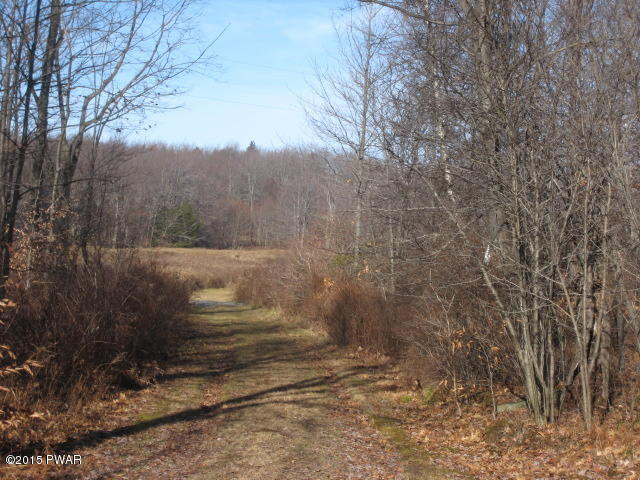 1050 Ravnikar Road Forest City, PA 18421 - Photo 12 of 28