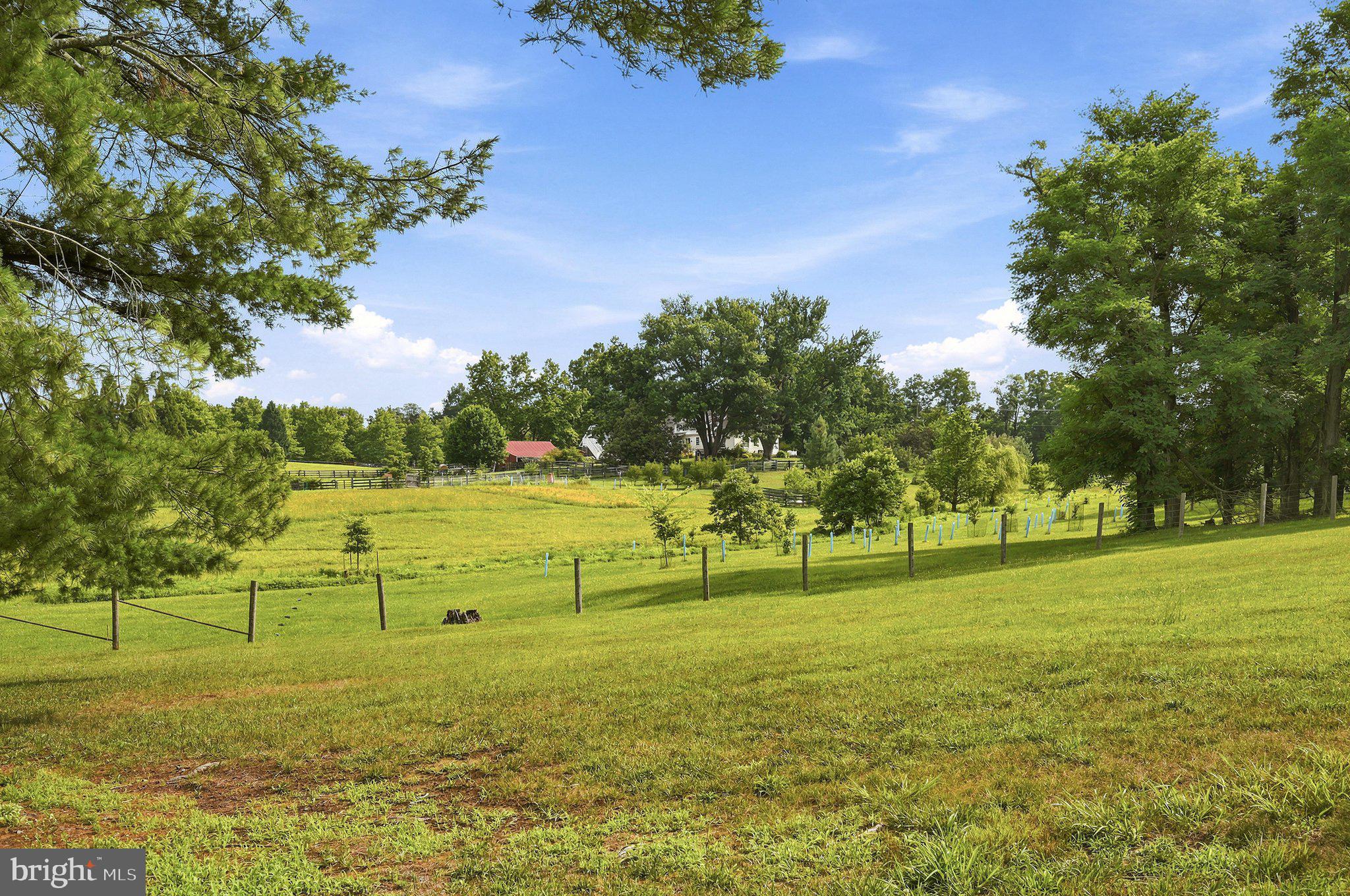 17751 Harmony Church Road Hamilton, VA 20158 - Photo 51 of 66 Field