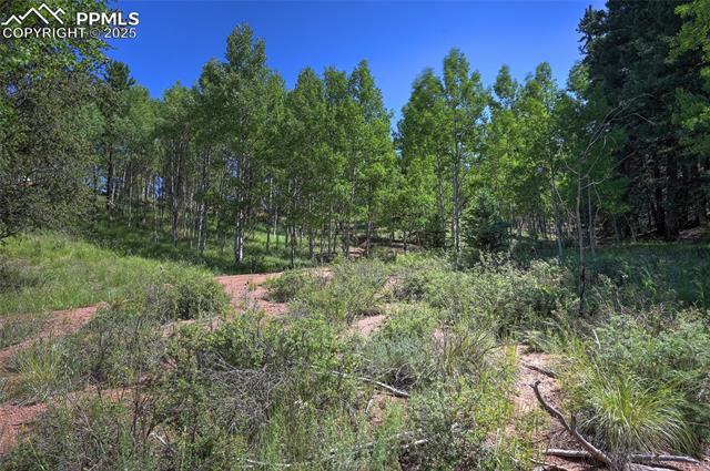 412 Princess Road Cripple Creek, CO 80813 - Photo 27 of 45 Gallery Image 27