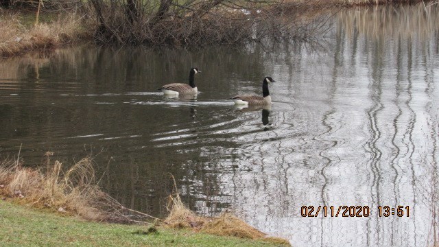 582 State Rte 3005 Kennerdell, PA 16374 - Photo 4 of 62 Gallery Image 4