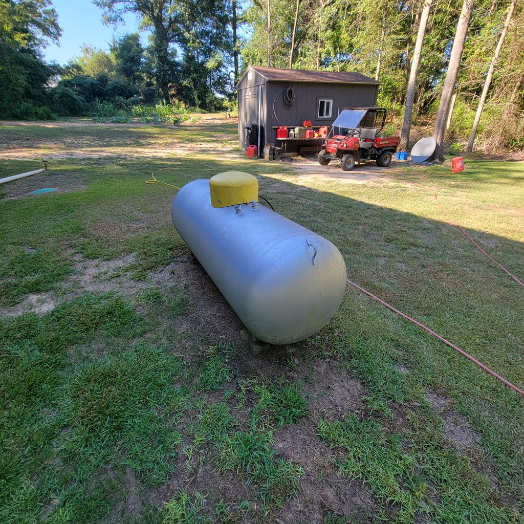 10355 County Road 97 Abbeville, AL 36310 - Photo 12 of 16