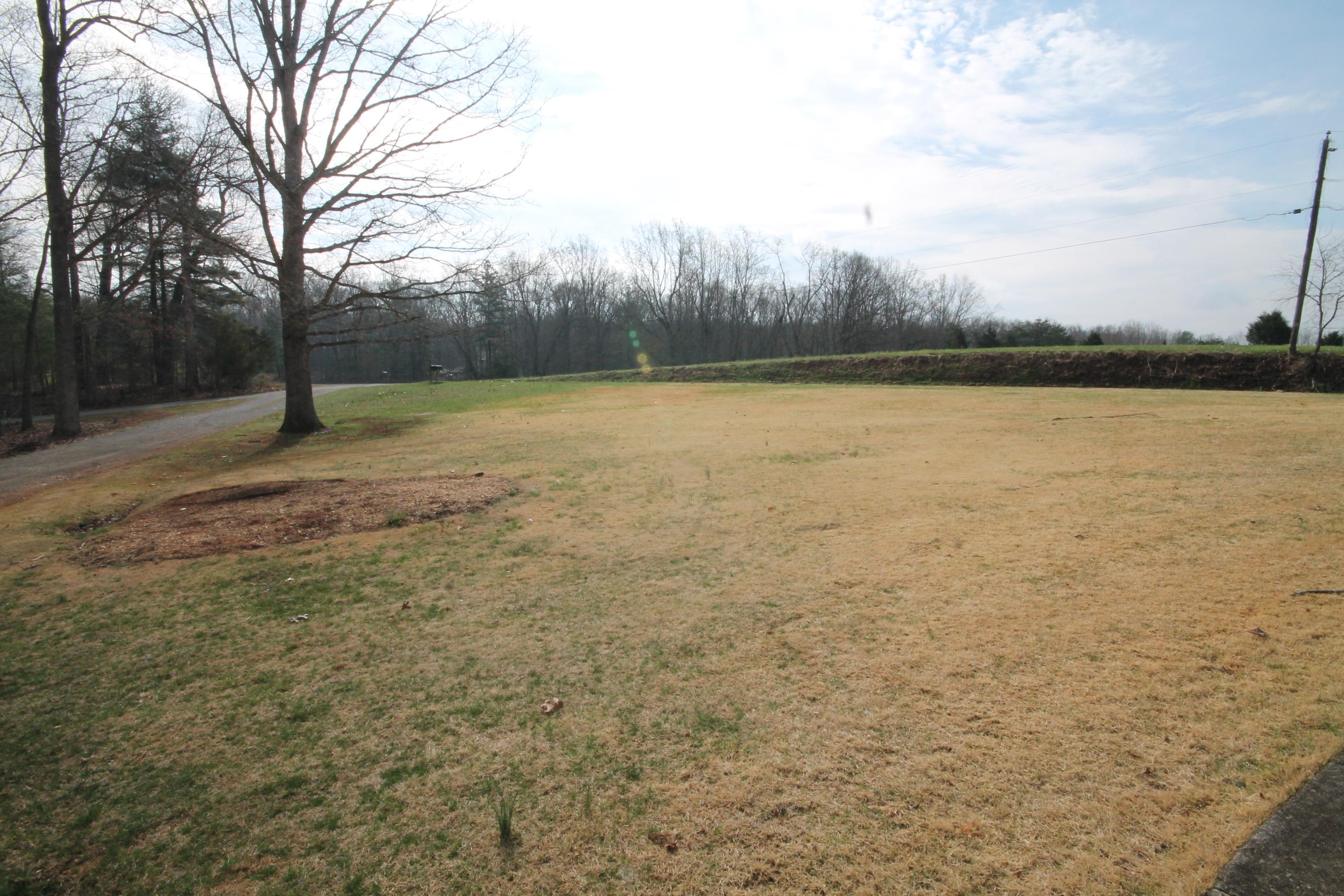 1557 Sample Road Wirtz, VA 24184 - Photo 2 of 29 Front yard