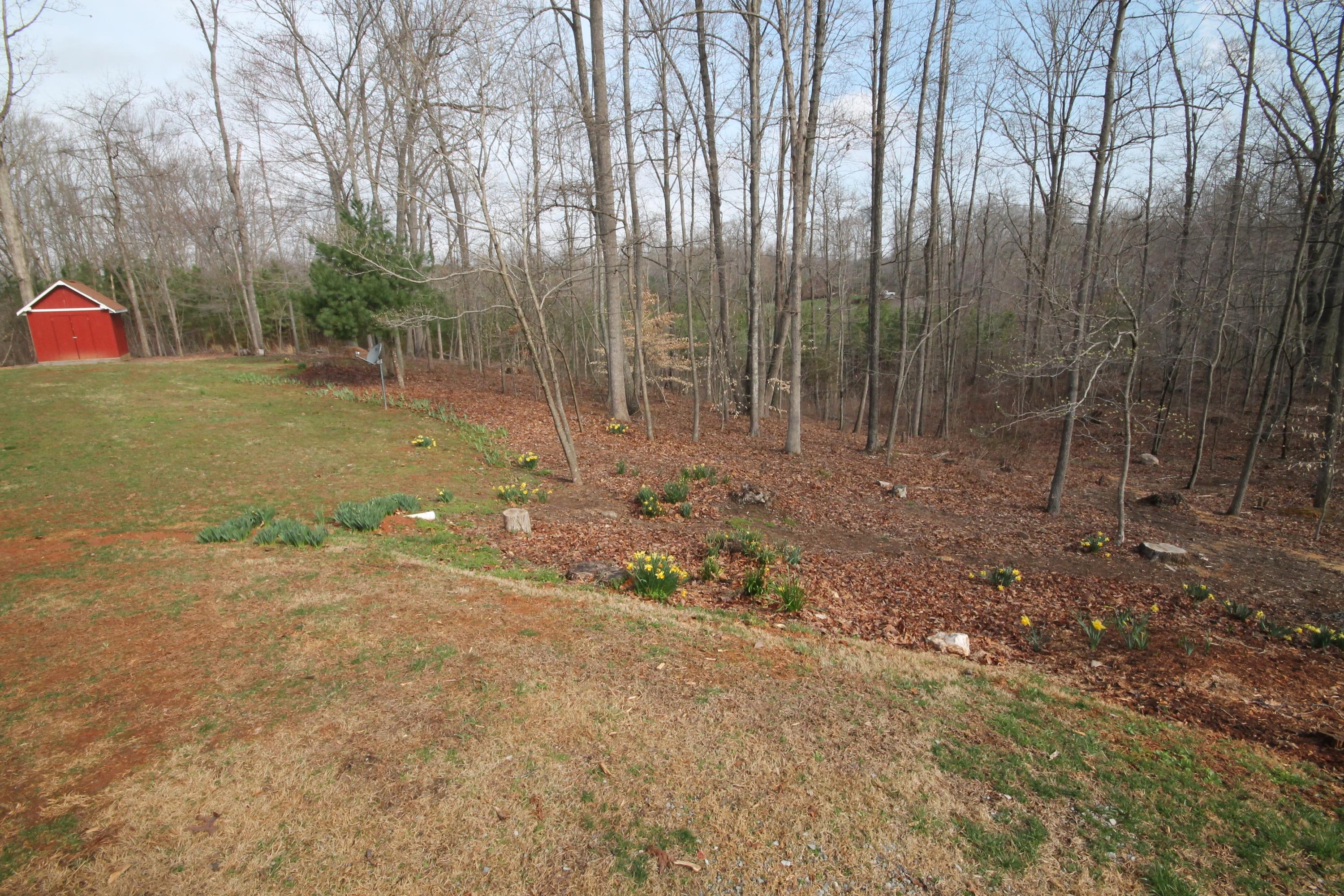 1557 Sample Road Wirtz, VA 24184 - Photo 27 of 29 Back yard