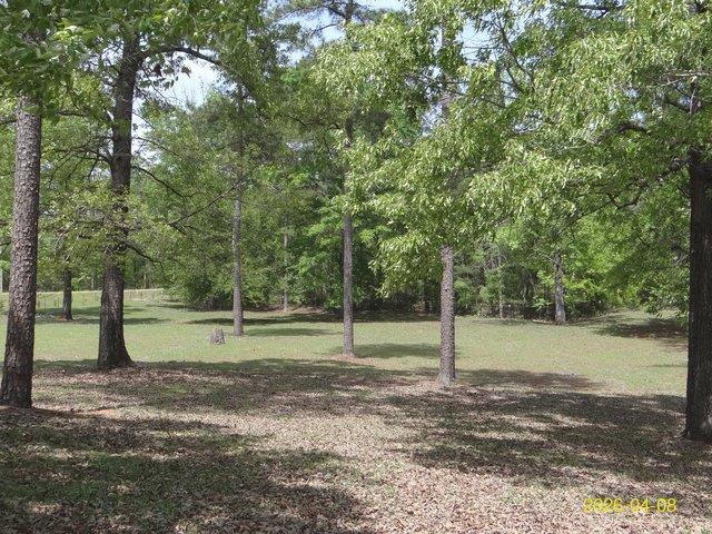 144 Old Sardis Church Road Clayton, AL 36016 - Photo 5 of 34 a view of a park